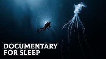 Why Deep Sea Creatures Get Creepier the Deeper You Go | Documentary for Sleep