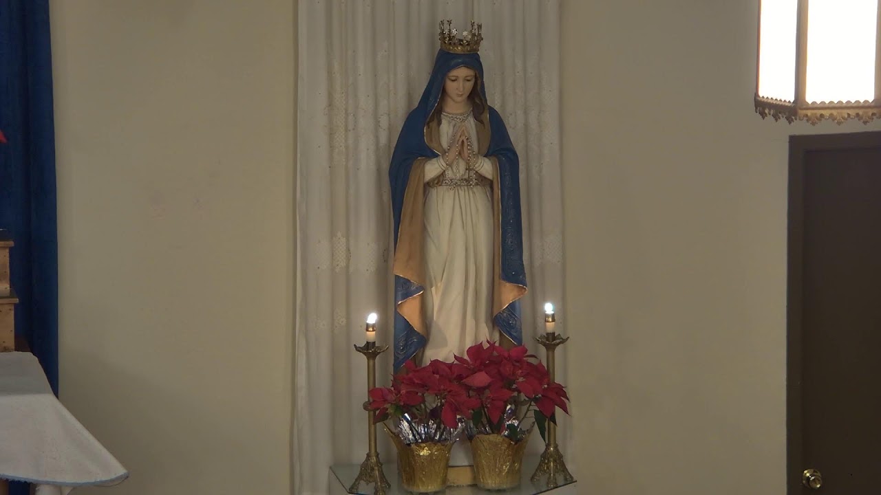 Rosary, February 1, 2026