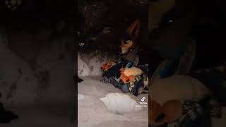 I found a den of coyotes!