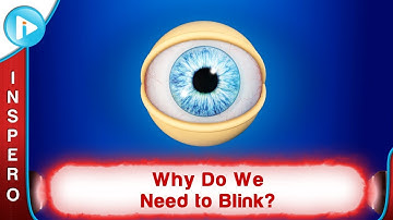 Why Do We Need to Blink?