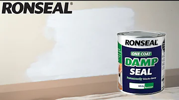 Can you use Dulux damp seal on wood?