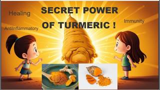 Turmeric & Curcumin – The Golden Power of Nature