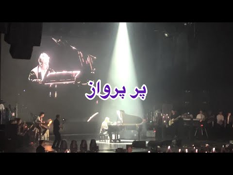 Shadmehr Concert Toronto 2024 کنسرت تورنتو ۲۰۲۴ شادمهر ـ پر پرواز 