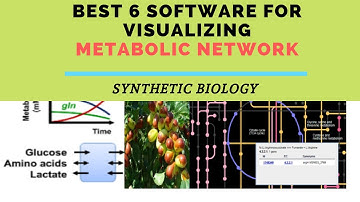Best 6 Software for Visualizing Metabolic Network | Synthetic Biology | Synbio-Rwanda