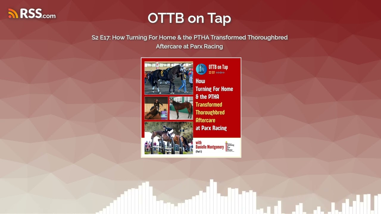 S2 E17: How Turning For Home & the PTHA Transformed Thoroughbred Aftercare at Parx Racing S2 E17: How Turning For Home & the PTHA Transformed Thoroughbred Aftercare at Parx Racing