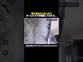猫が見当たらないからホームカメラを確認してみたら..