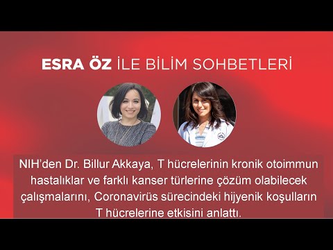 T hücreleri kronik