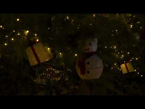 Видео: Цъфтяща елха - за новогодишните празници