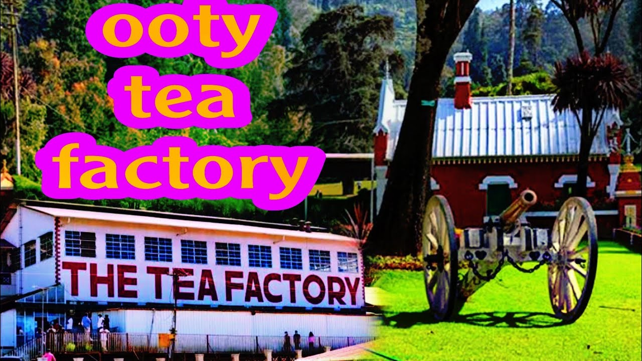 Ooty Tea Factory YouTube ooty-tea-factory-youtube