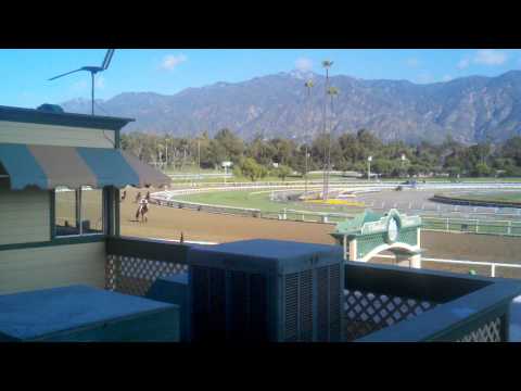Angela Aquino's Greenspan and Filly Friend Whose N...