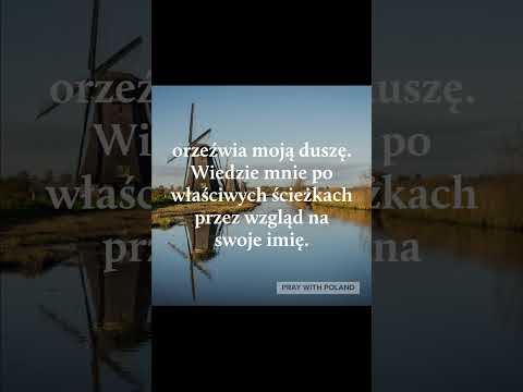 Wideo: Zamek Montsegur - przeklęte miejsce na świętej górze