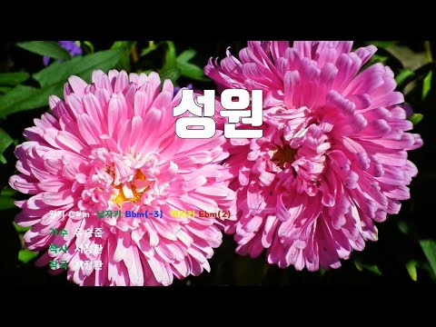 [은성 반주기] 성원 - 유승준