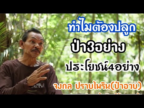 การปลูกป่า3อย่าง ประโยชน์ 4 อย่าง l ศิษย์มาบเอื้อง604