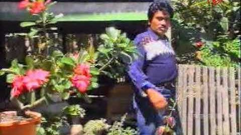 Odang - Masdani "Maniop Janji"
