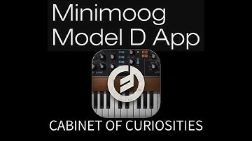 Minimoog Model D Synthesizer - Classic Analog Synthesizer - SONIC MAYHEM 2