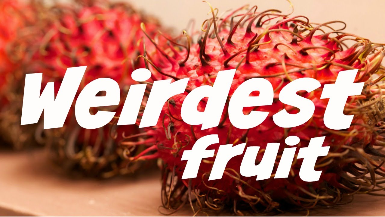 Top 5 Weird Exotic Fruit - guanabana jackfruit rambutan - YouTube