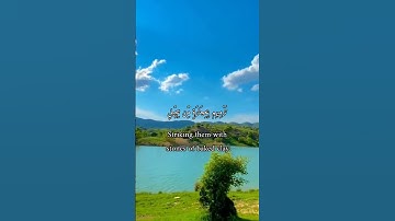واتس أب قرآن كريم القارئ ماهر المعيقلي سورة (الفيل)