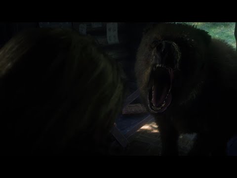 RED DEAD REDEMPTION 2 - BEAR HOUSE AND 2 ANNABELLE MYSTERIOUS LETTERS ...