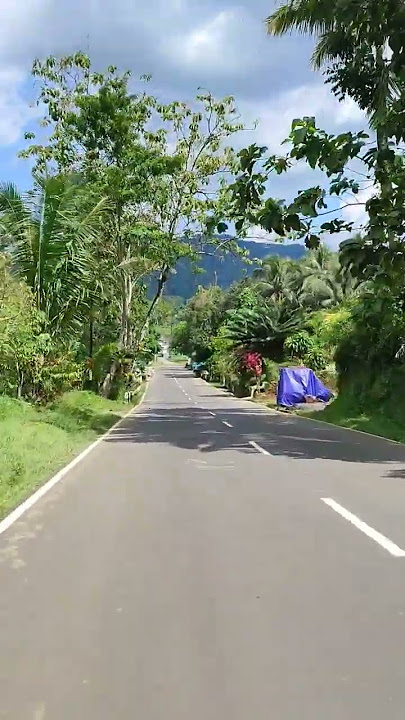 Jalan bruno tegalsari | jalan alternatif wonosobo purworejo