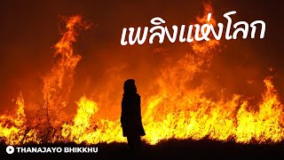 เพลิงแห่งโลก | Thanajayo Bhikkhu | 11 May 2024