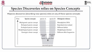 Process of Speciation