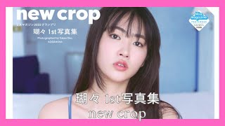 瑚々 1st写真集 new crop