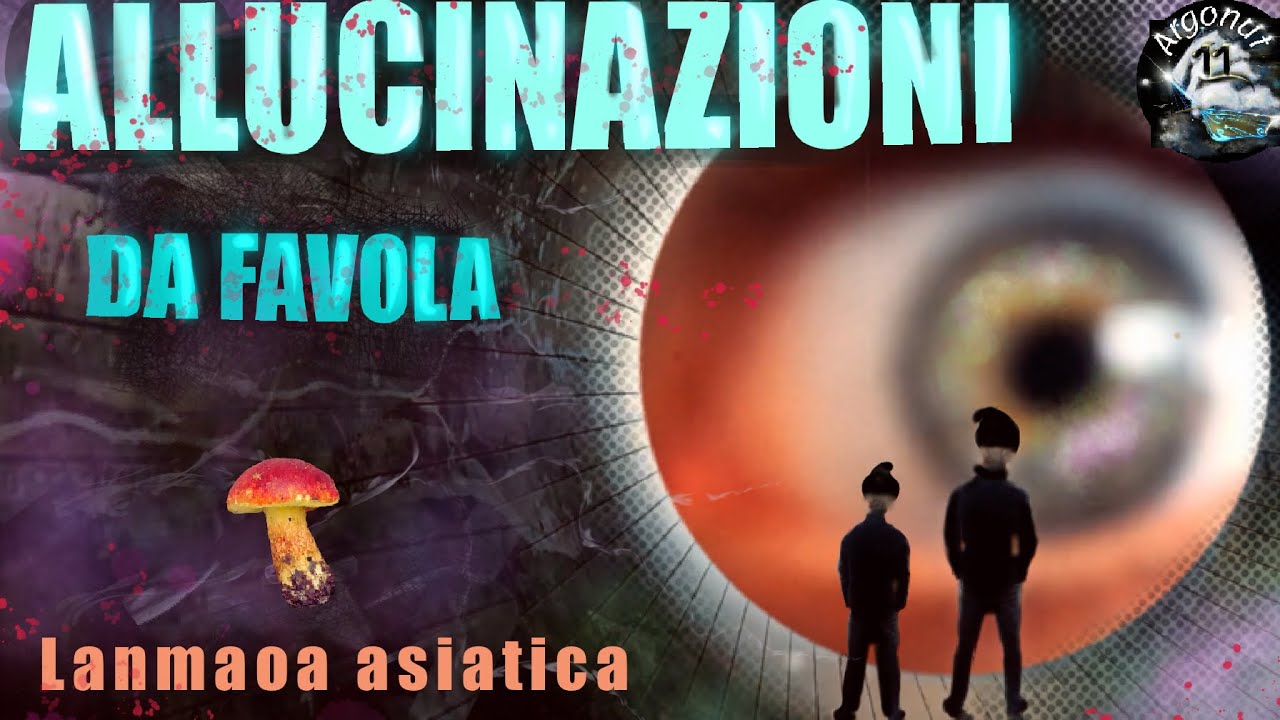 Lanmaoa asiatica, il fungo che fa vedere gli gnomi. #scienza #funghi #allucinazioni