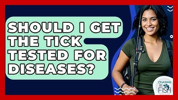 Should I Get The Tick Tested For Diseases? - Chasing Big Fish