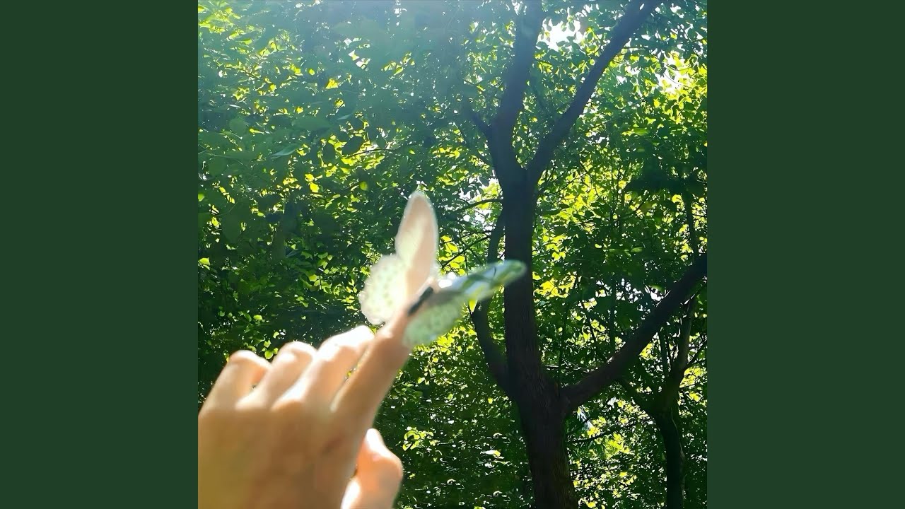 Watch butterfly effect on YouTube Watch butterfly effect on YouTube