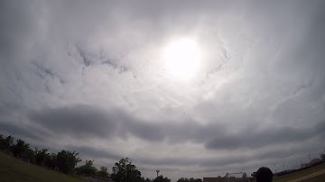 Eflite maule .....remaiden