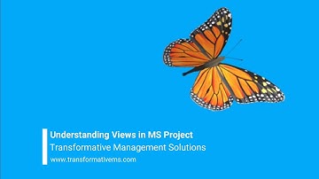 Understanding Views in Microsoft Project