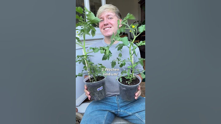 With this secret trick more roots & stronger tomato plants 🍅💪 #urbangardening #gardening