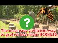 The most easy and efficient way to protect bees from giant hornet