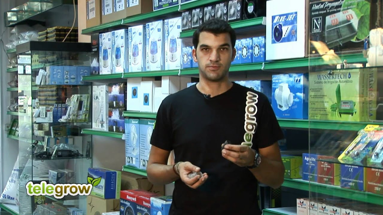 JIffy para germinar cannabis - i502