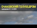 ОГ сезон 2020. Тренировка 21.10.2020