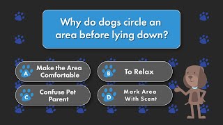 Why do dogs circle before lying down?
