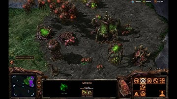 [HD] Zerg Tutorial - Basics P4