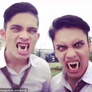 STORY WA MANUSIA HARIMAU BOCIL JAMAN SEKARANG MANA TAU