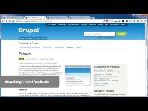 Pathauto | Drupal 7 - Part 1: Pattern for Basic page