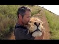Meet The KINGS!!! | The Lion Whisperer