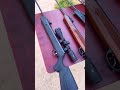 #ajayshooter #elvishairgunhouse (7465069988)(7830069988)