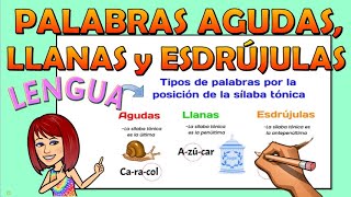 📚PALABRAS AGUDAS LLANAS Y ESDRÚJULAS📌Video educativo para niños de primaria👫