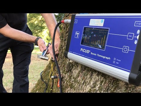 Picus 3 Demonstration