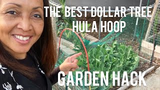 Dollar Tree Hula Hoop Garden Hack