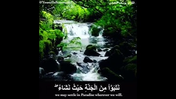 القارئ يوسف محمد الحمادي من سورة الزمر