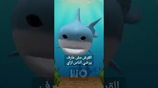 #قرش #الغردقه #hurghada #shark