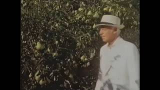 Star Trek Picard vs The Man from Del Monte
