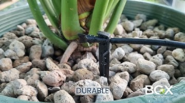 ĐẦU TƯỚI NHỎ GIỌT CẢNH QUAN TECO DELTA SPIKE