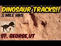 Warner Valley Dinosaur Tracks | St George | Utah