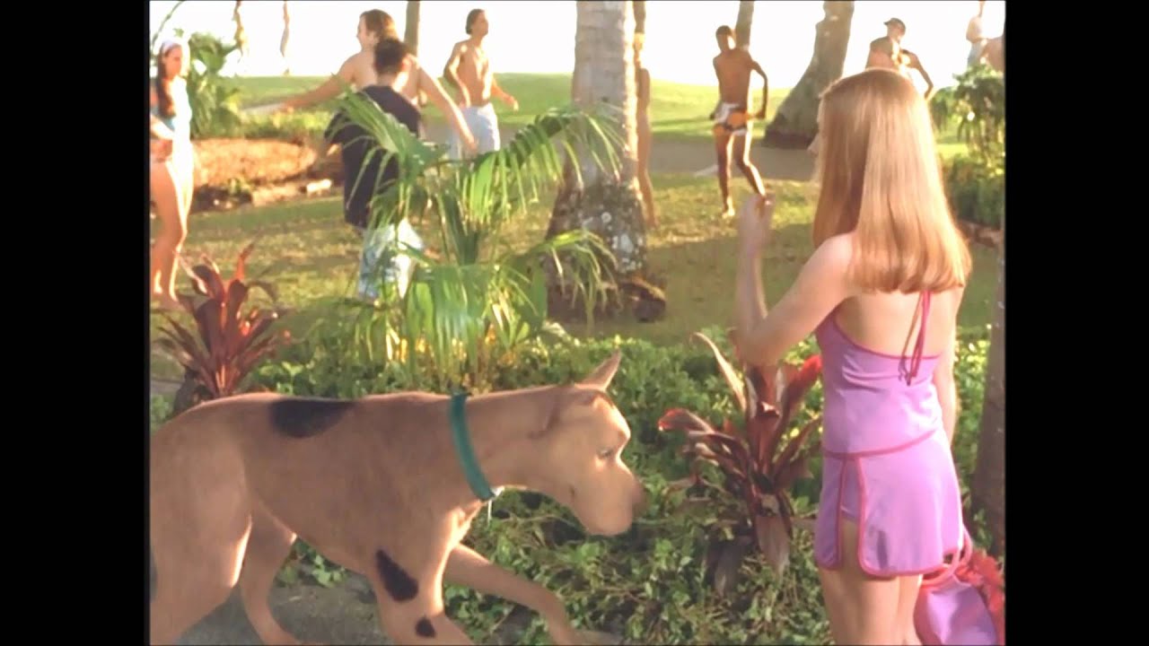 Scooby Doo Spooky Island Beach Party Song Scooby Doo Spooky Island Beach Party Song